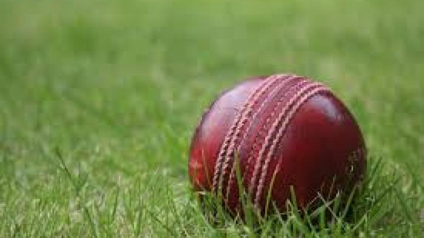 Cricket Ball