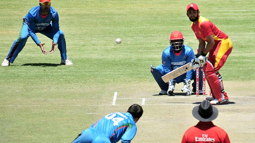 cricket-web.jpg