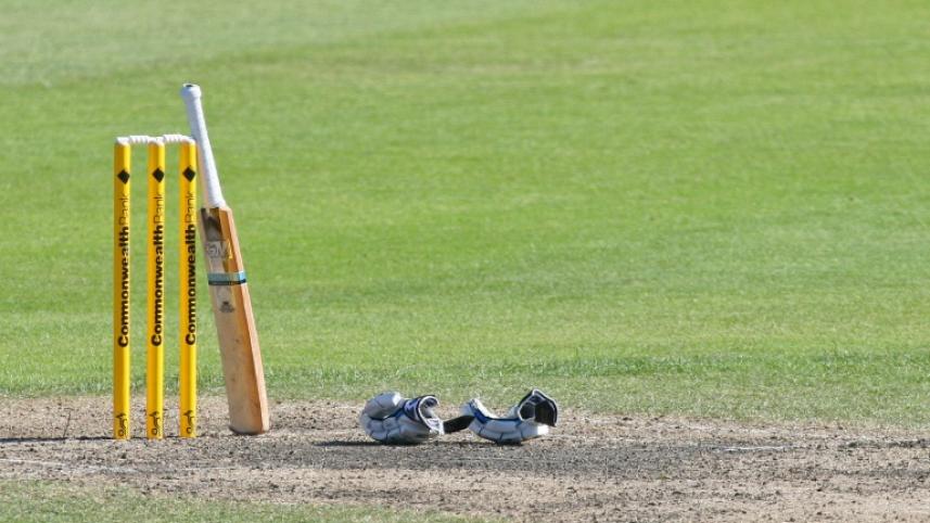 hit cricket ball