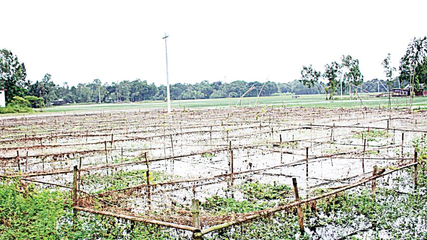 cropland.jpg