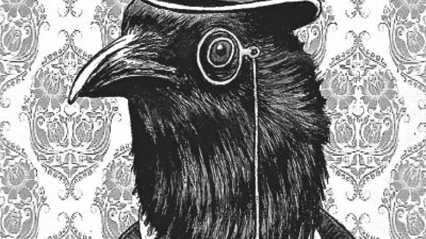 Crows and Cons