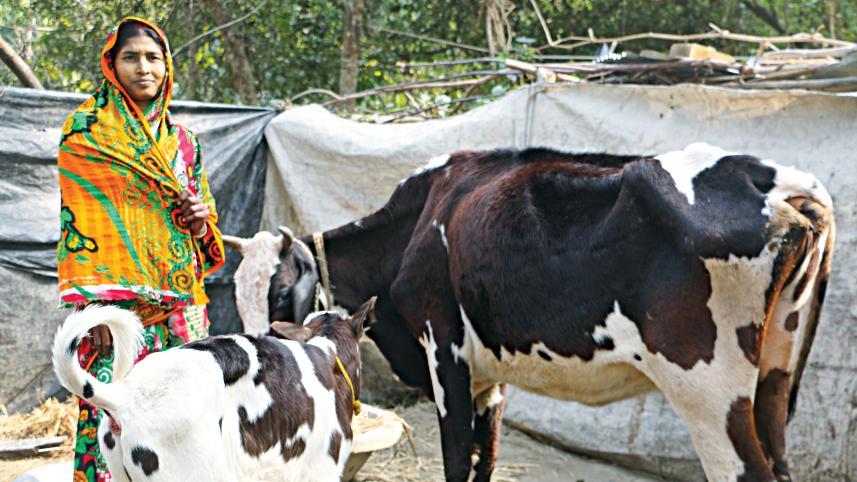 Dairy-milk.jpg