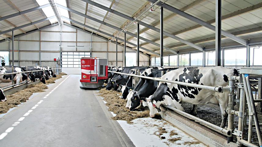 Dairy1.jpg