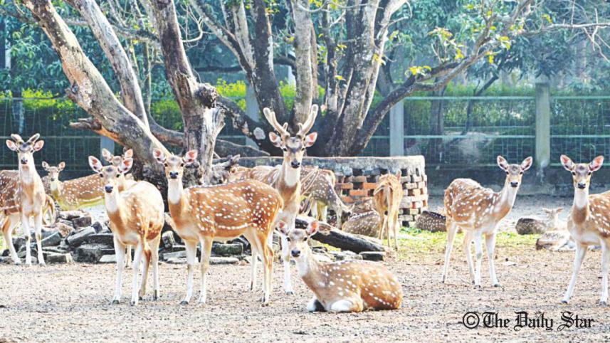 Rajshahi Zoo