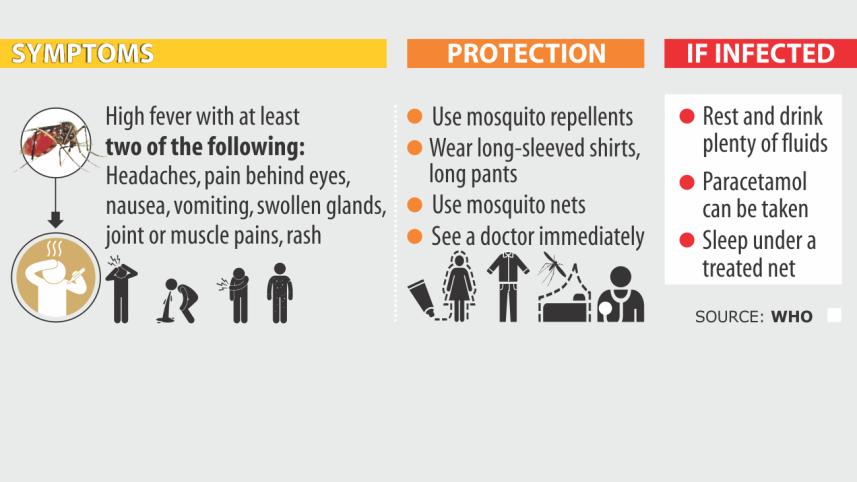dengue.jpg