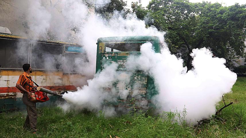 dengue.jpg
