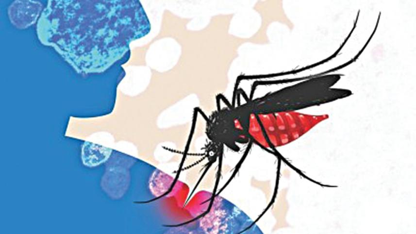 dengue_mosquito_0.jpg