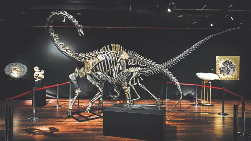 dinosaur.jpg