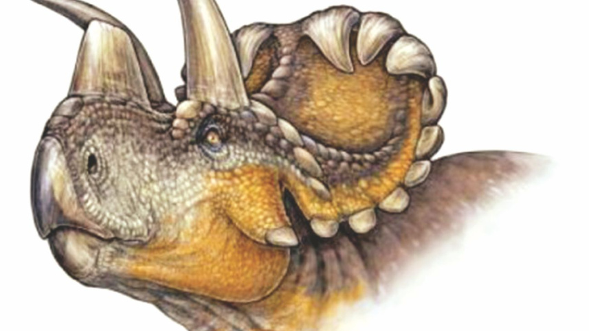 Dinosorus