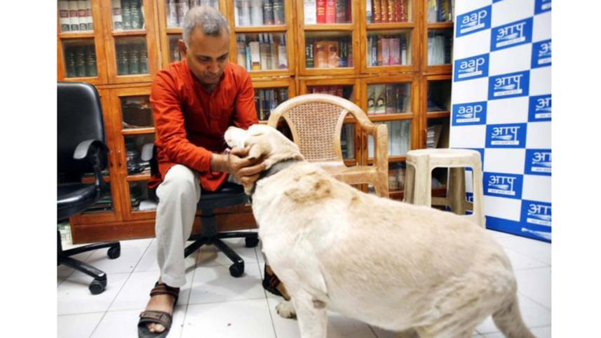 Dog--1WB.jpg
