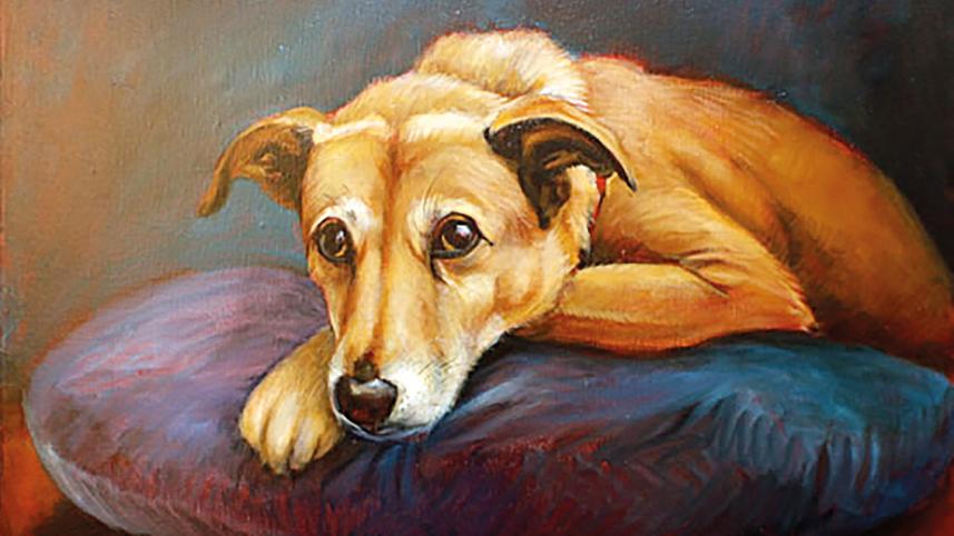 dog .jpg