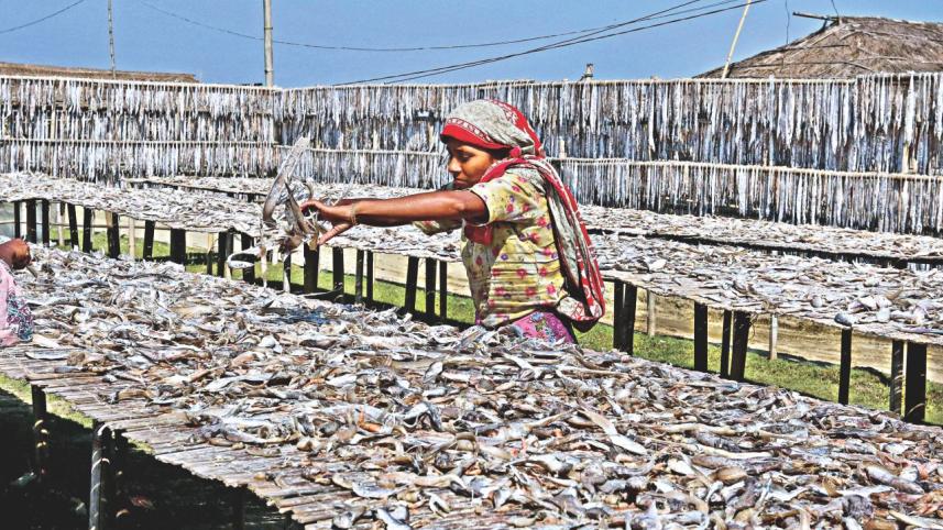 dried fish 1.jpg