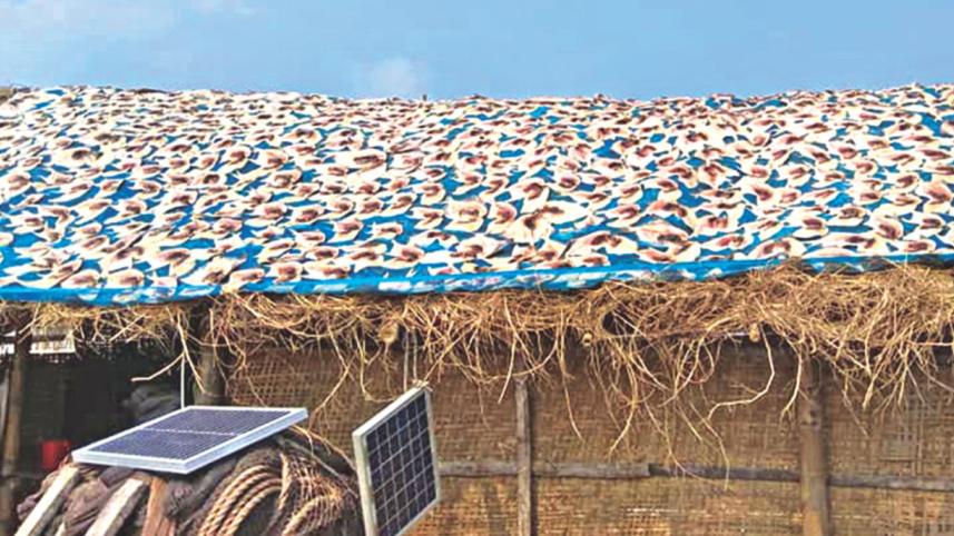 dry fish.jpg
