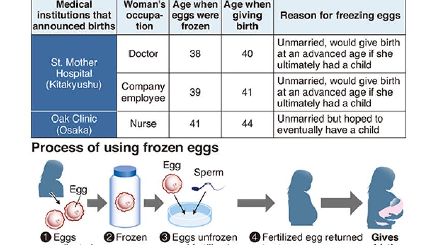 egg_graphic_web.jpg