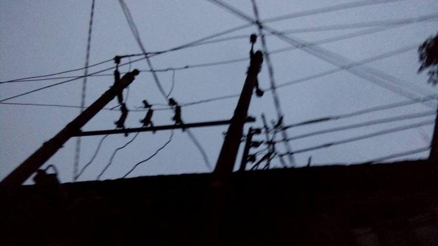 Electrocuted-web.jpg