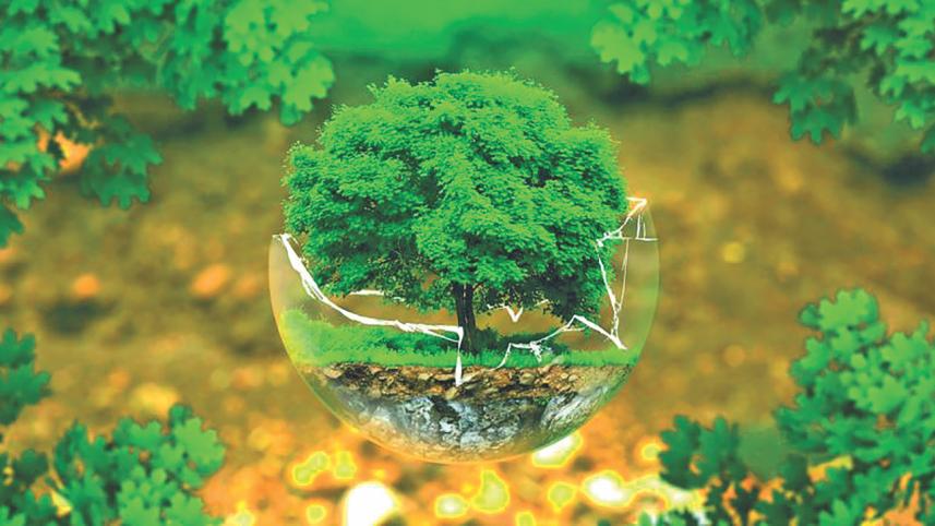 Environmental Laws 2.jpg