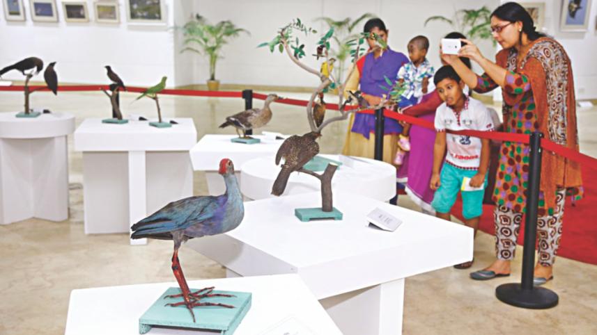 Exhibition
