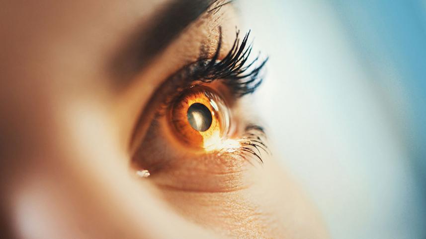 Eye-sight.jpg