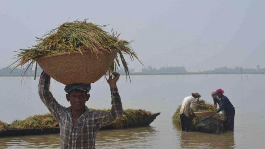 farmer
