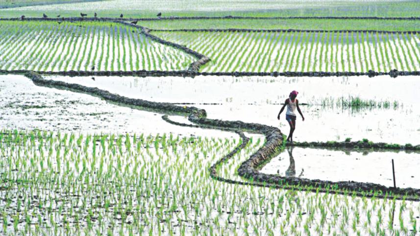 Farmers in Peril.jpg
