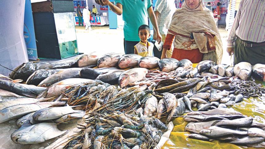 Fish1.jpg