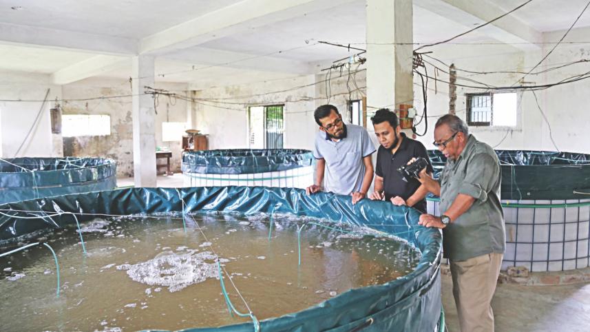 fish farming.jpg