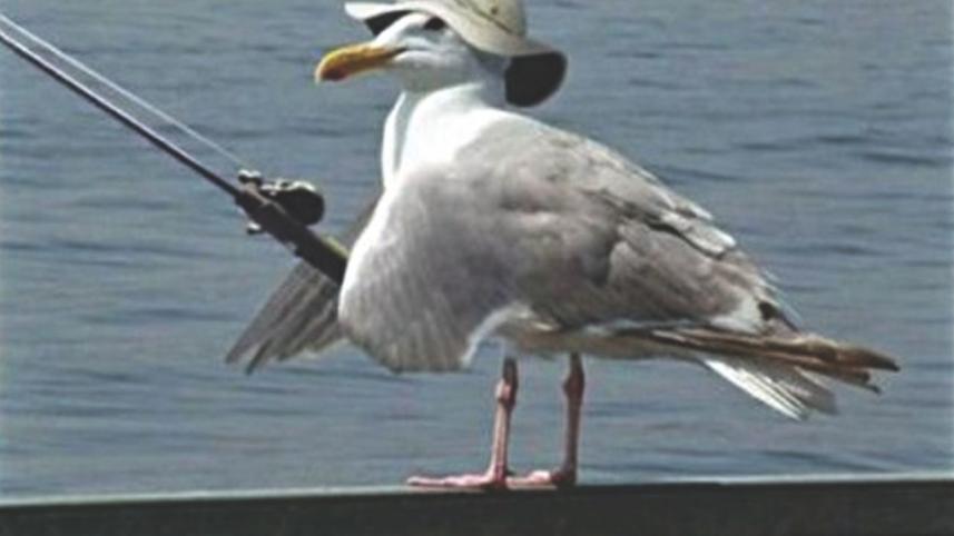 Fishing