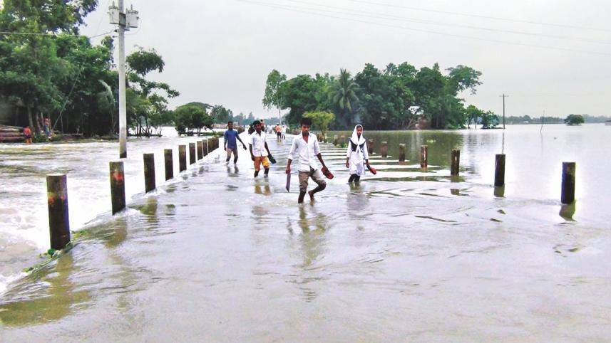 flood 1.jpg