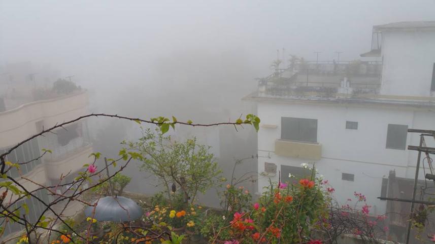 Fog-1WB.jpg
