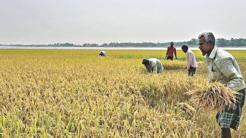 food-security-for-all.jpg
