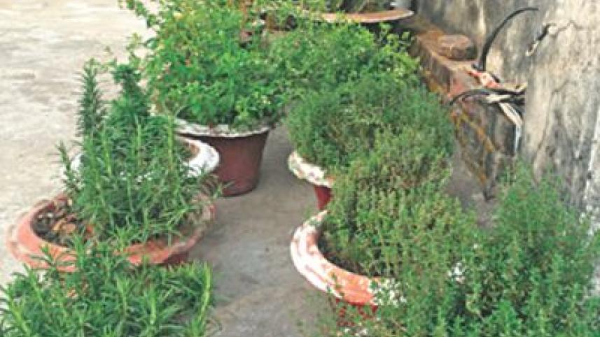 Gardening