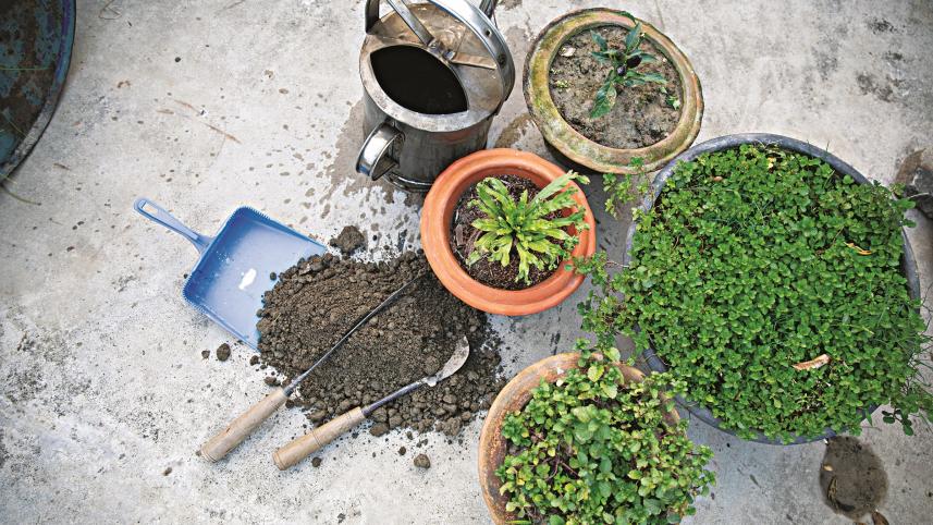 gardening