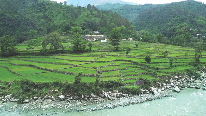 Garhwal forest.jpg
