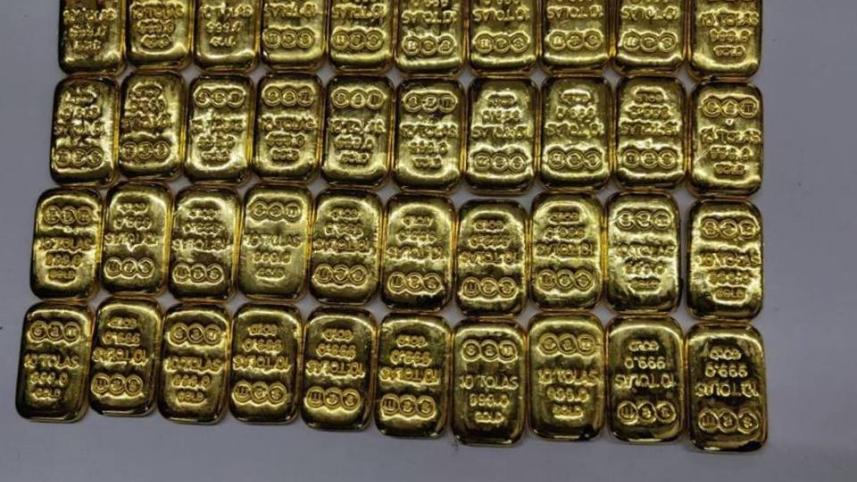 gold_collected_Rafi.jpg