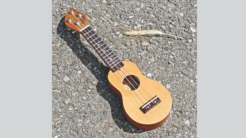 guiter.jpg