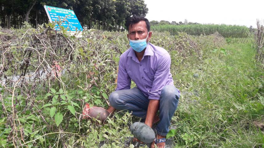 Habibur-now-farming-hero.jpg