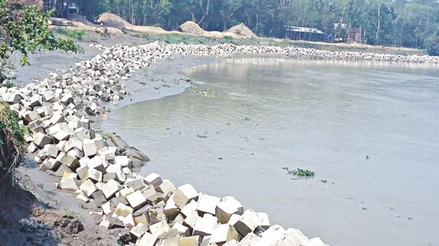 Seven of 21 gorges where broodfish lay eggs partially filled up with sandbags