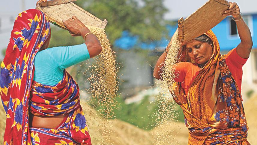 harvest 3.jpg