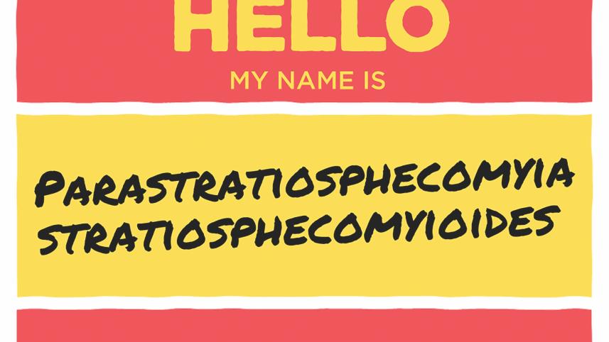 Hello.jpg