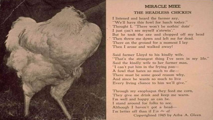 hen.jpg