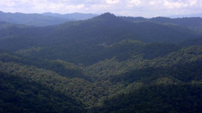 Honduras-1WB.jpg