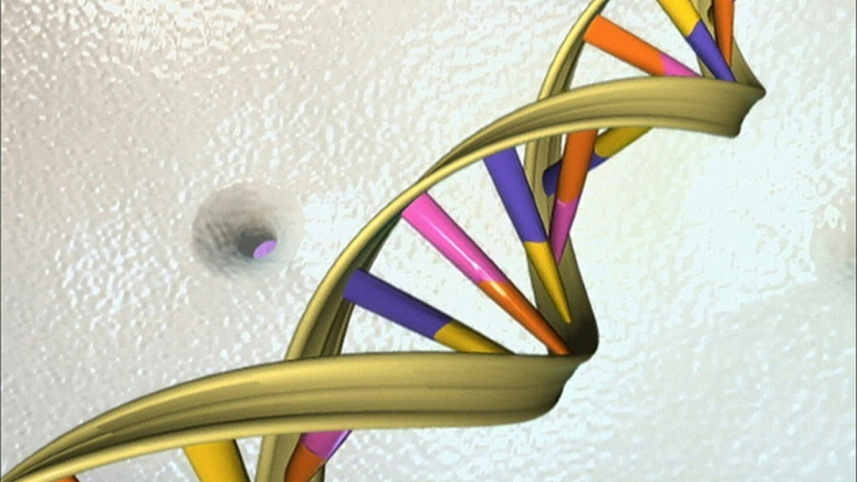 human-genome.jpg