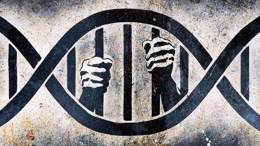 human rights jail.jpg