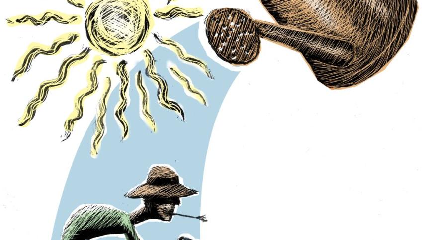 ILLUSTRATION .jpg
