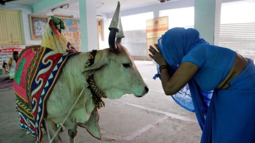 India-polar.jpg-NS.jpg