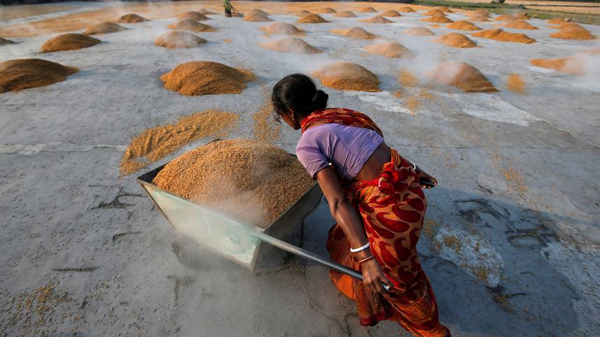 India Rice.JPG