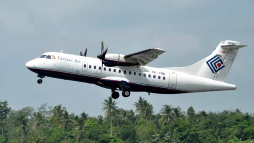Indo plane_AP.jpg