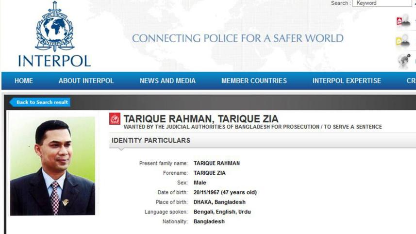 Interpol fina.jpg