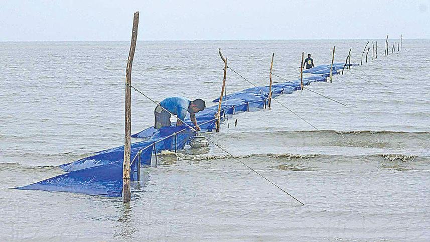 IUU.jpg
