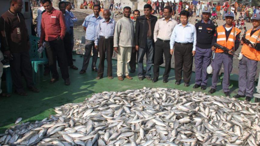 jatka-hilsha-file-photo.jpg